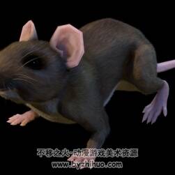 老鼠模型带动画带骨骼3DC4D模型下载