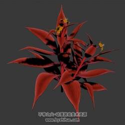 熱帶紅色植物 3D模型下載 四角面 max格式