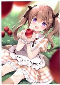 CANVAS+GARDEN (宮坂みゆ) la dentelle6 畫集 百度網(wǎng)盤下載