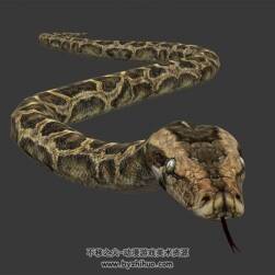 逼真的蟒蛇3DMax模型 游走动画无骨骼绑定下载