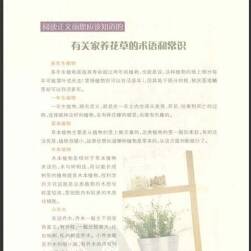 有益室内植物128种 百度网盘下载