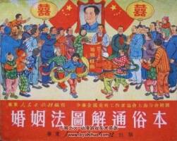 婚姻法圖解通俗本 PDF格式連環(huán)畫 百度網(wǎng)盤下載 38.6MB