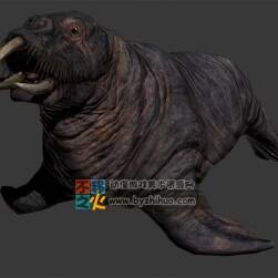Seals 写实的海豹Max模型