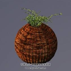 Lantern baskets C4D藤条编织灯笼花篮3D模型下载