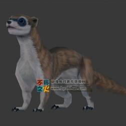 狐獴 Max模型