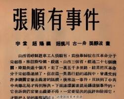 张有顺事件 1952年 PDF格式连环画 百度网盘下载 48.33MB