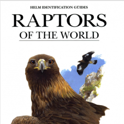 世界猛禽 raptors of the world 2001 PDF格式 百度网盘分享