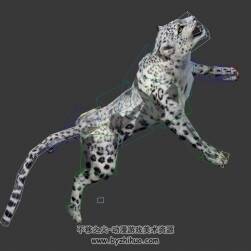 雪豹子3DMax模型分享下載 全套動作帶綁定