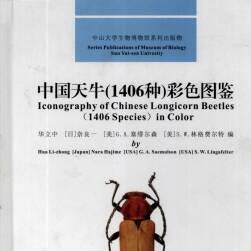 中国天牛（1406种）彩色图鉴 百度网盘PDF格式分享观看
