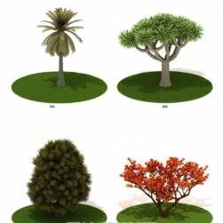 室外园林植物系列3D合辑下载 含热带吊兰球形盆栽max格式下载