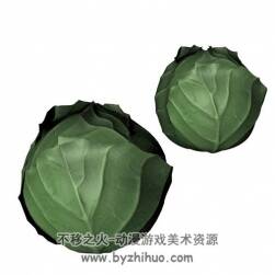 cabbage 甘蓝 C4D模型