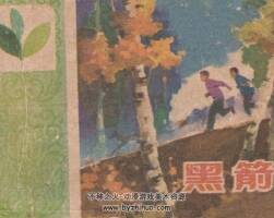 黑箭 山東人民 賀傳永繪畫 PDF格式連環(huán)畫 百度網(wǎng)盤下載