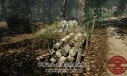 Meadow Environment - Dynamic Nature 1.9f1 大自然場(chǎng)景