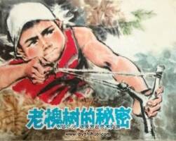 老槐樹的秘密 1976年出版 PDF格式 百度網(wǎng)盤 27.9MB