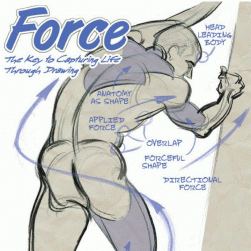 Mattesi - Force 人体系列教程 四本合集