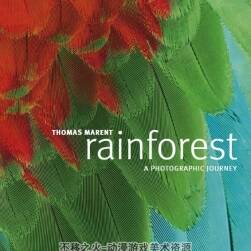 DK Rainforest 2010 雨林 百度网盘PDF分享观看