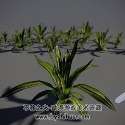 Tropical plant 长叶植物3D模型obj fbx格式分享下载