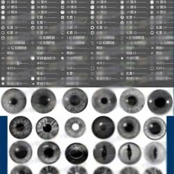 人物眼睛PS筆刷99款 百度網(wǎng)盤分享