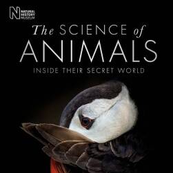 The Science of Animals: Inside Their Secret World動(dòng)物百科視覺(jué)參考 百度網(wǎng)盤(pán)下載