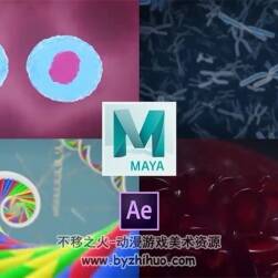 Maya醫(yī)療動畫制作視頻教程 細胞血流特效動畫制作流程 附源文件