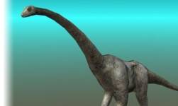 Brontosaurus\Apatosaurus Dinosaur 1
