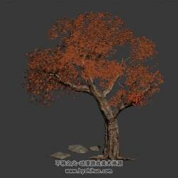 写实风枫树 四角面3D模型下载 max格式
