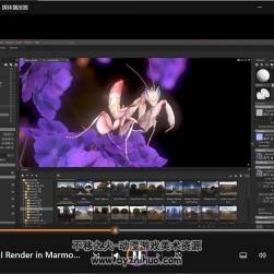 zbrush生物雕刻螳螂 视频教程 百度网盘下载 6.66 GB
