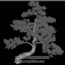 C4D松树模型分享