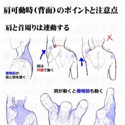 動漫人體講座合集！從入門到入土一套帶走！