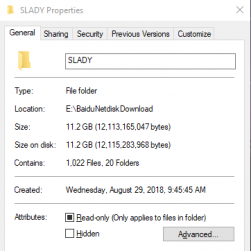 国产精品 SLADY合集20套 11.2G 百度网盘下载