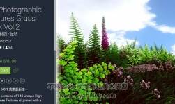 unity 精品草地紋理包 HQ Photographic Textures Grass Pack Vol.2