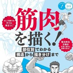 筋肉を描く! 部位別でわかる構(gòu)造から描き分けま 肌肉的畫法 百度網(wǎng)盤下載