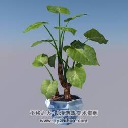 C4D滴水观音植物盆景3D模型分享下载