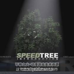 SpeedTree 树木建模制作快速门视频教程 中文字幕