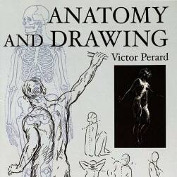 Anatomy and Drawing 解剖學與繪畫 Victor Perard 人體結(jié)構(gòu)繪畫教學 網(wǎng)盤下載
