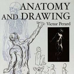 Anatomy and Drawing 解剖学与绘画 Victor Perard 人体结构绘画教学 网盘下载