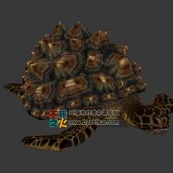 海龟 3D游戏模型