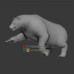 Polar bear 北极熊 Max模型