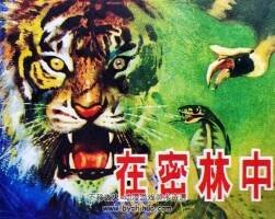 在密林中 仿印 湖南美術(shù) 1983 PDF格式連環(huán)畫 百度網(wǎng)盤下載