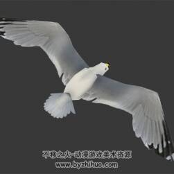 白海鸥3DMax模型带骨骼飞行动作下载