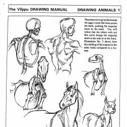 Drawing Manual 繪圖手冊 Glenn Vilppu 人和動物體態(tài)結(jié)構(gòu)