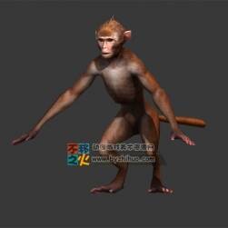 瘦猴子一枚 Max模型