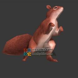 动物动作之小松鼠 Max模型