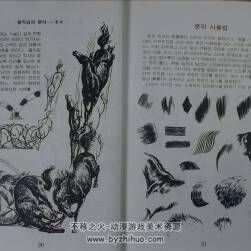 各種動物構(gòu)造形態(tài) 不同動物手繪參考資料PDF格式百度網(wǎng)盤下載