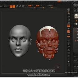 Zbrush解剖結(jié)構(gòu)視頻教程 人類面部骨骼肌肉雕刻教學(xué)