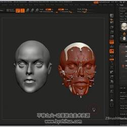 Zbrush解剖结构视频教程 人类面部骨骼肌肉雕刻教学