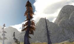 Mountain Pack - Rocks Trees and Textures 1.3
