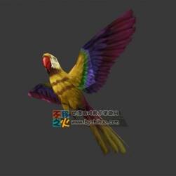 简化版 彩色小鹦鹉 Max模型