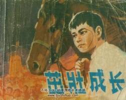 茁壯成長(zhǎng) PDF格式連環(huán)畫(huà) 百度網(wǎng)盤(pán)下載 78.5 MB