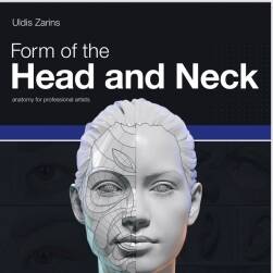 Form of Head and Neck 头颈部形状 建模人体结构美术参考 百度网盘